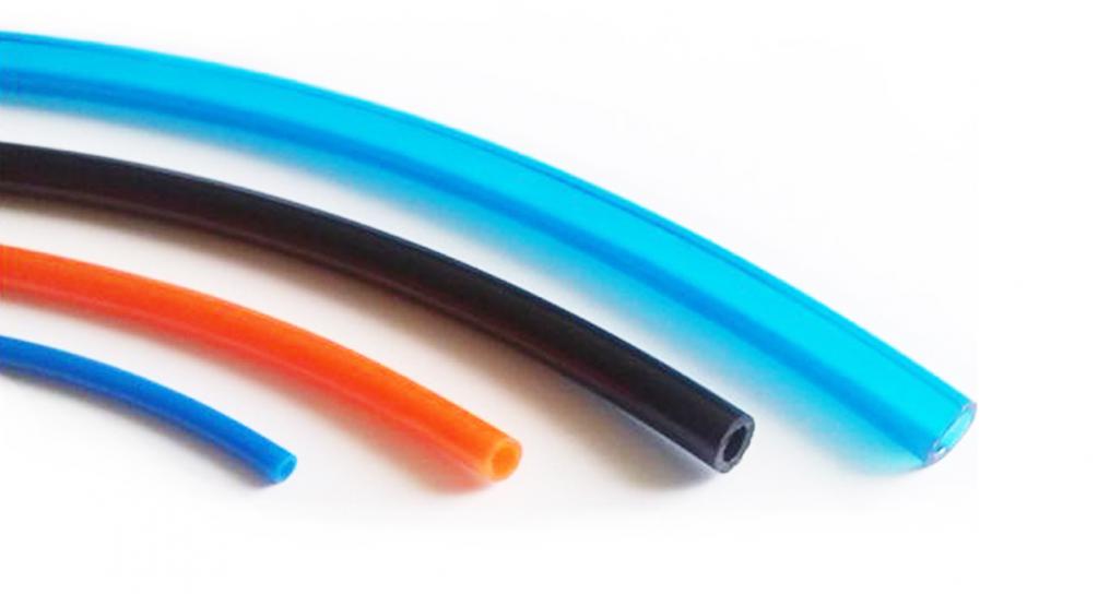 Trachea